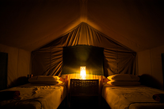 Safari Tents Holidays