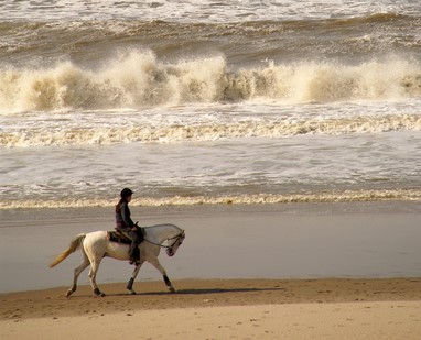 Which Holidays Parks offer Horse Riding?